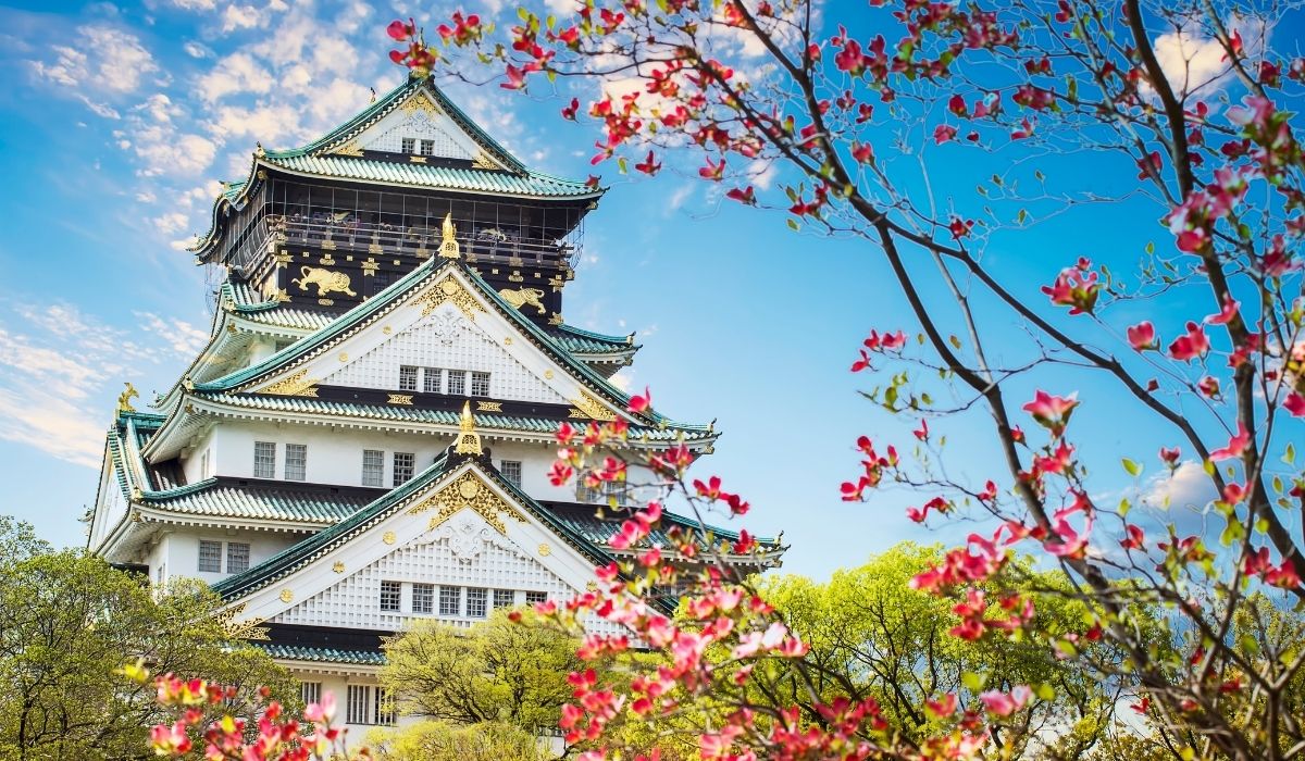 Japanese Certifications